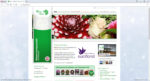 blumenstieber.at